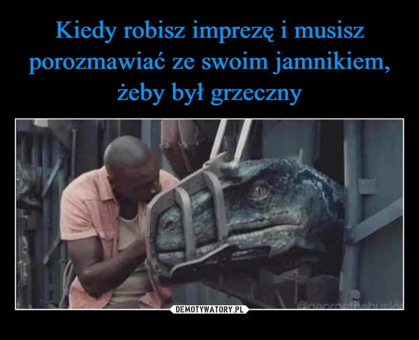 
    
Kiedy robisz imprezę i musisz porozmawiać ze swoim jamnikiem, żeby był grzeczny 