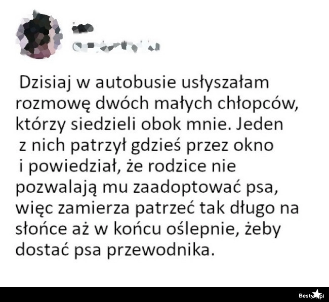 
    O chłopcu, który bardzo chce mieć psa 