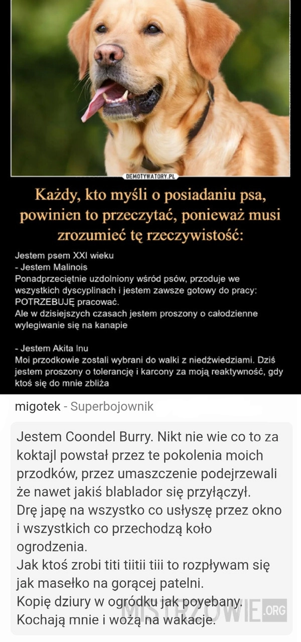 
    Rasy psów