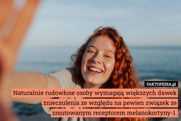 
    Naturalnie rudowłose osoby wymagają większych dawek znieczulenia ze względu