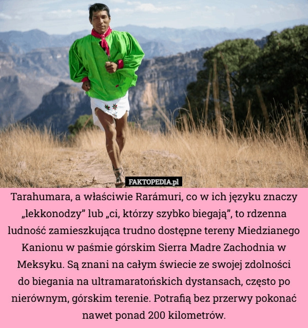 
    Tarahumara, a właściwie Rarámuri, co w ich języku znaczy „lekkonodzy” lub