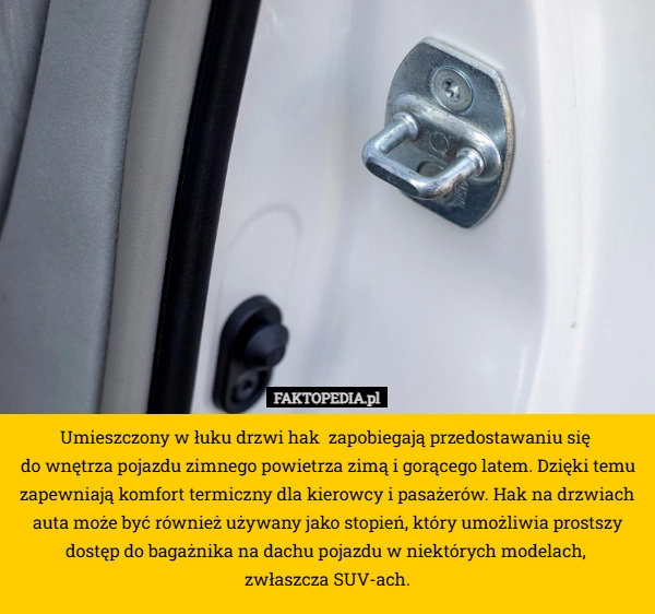 
    Umieszczony w łuku drzwi hak  zapobiegają przedostawaniu się 
do wnętrza