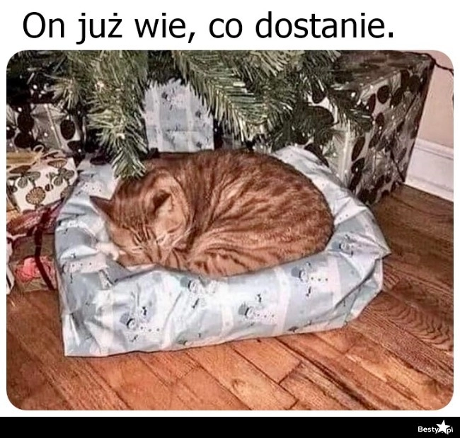 
    I już korzysta 