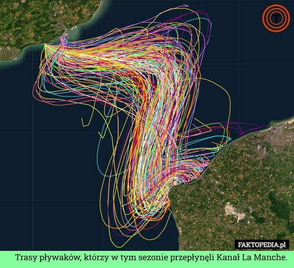 
    Trasy pływaków, którzy w tym sezonie przepłynęli Kanał La Manche.