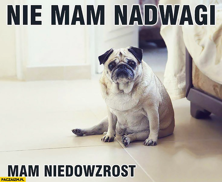 
    Nie mam nadwagi mam niedowzrost buldog