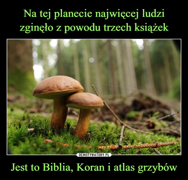 
    Na tej planecie najwięcej ludzi zginęło z powodu trzech książek Jest to Biblia, Koran i atlas grzybów