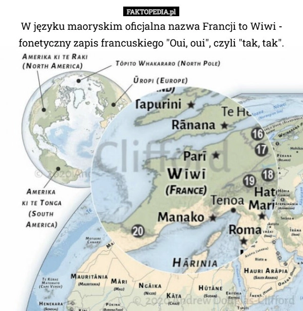
    W języku maoryskim oficjalna nazwa Francji to Wiwi - fonetyczny zapis francuskiego