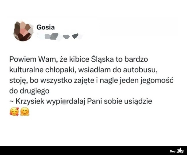 
    Kibice Śląska 