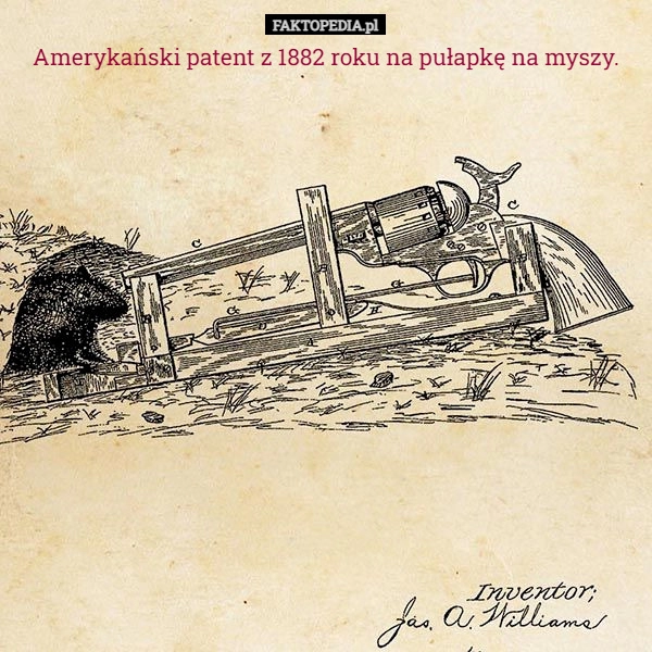 
    Amerykański patent z 1882 roku na pułapkę na myszy.