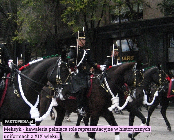 
    Meksyk - kawaleria pełniąca role reprezentacyjne w historycznych uniformach
