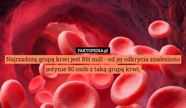 
    Najrzadszą grupą krwi jest RH null - od jej odkrycia znaleziono jedynie