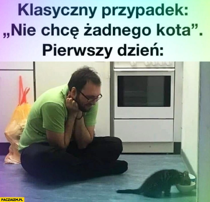 
    Klasyczny przypadek: nie chcę żadnego kota, pierwszy dzień patrzy jak je