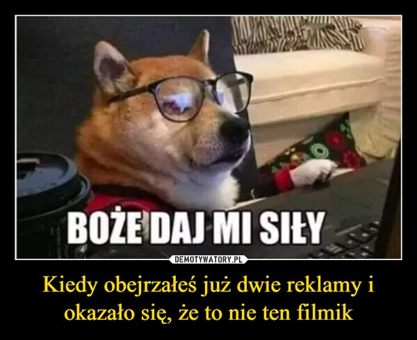 
    Kiedy obejrzałeś już dwie reklamy i okazało się, że to nie ten filmik