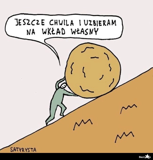 
    Wkład własny 