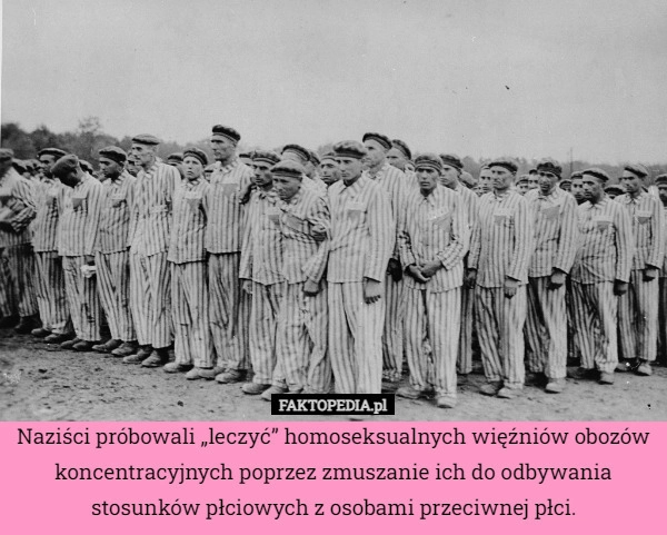 
    Naziści próbowali „leczyć” homoseksualnych więźniów obozów koncentracyjnych