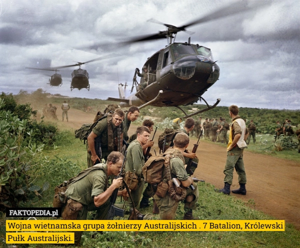 
    Wojna wietnamska grupa żołnierzy Australijskich . 7 Batalion, Królewski