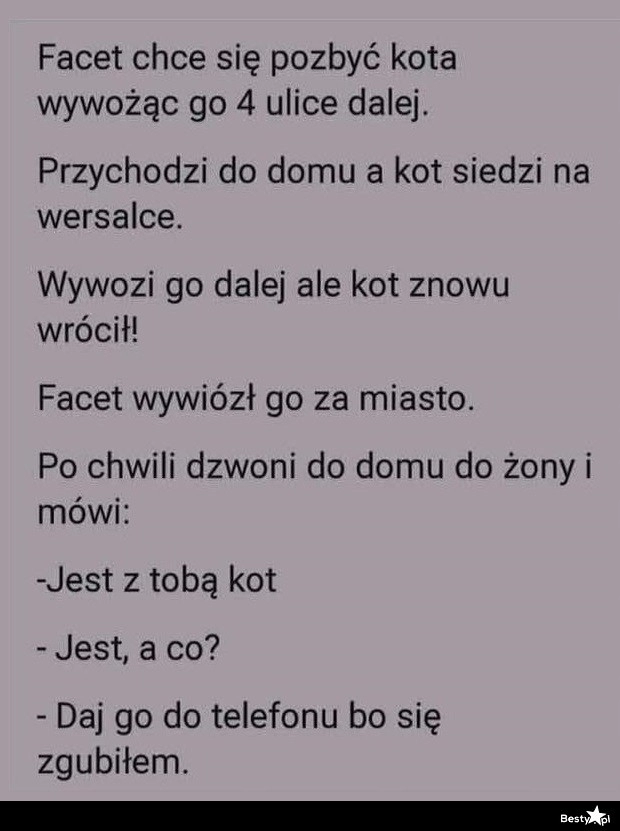 
    Próba pozbycia się kota 