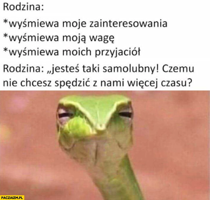 
    Rodzina wyśmiewa moje zainteresowania, wagę, przyjaciół. Mówi: jesteś taki samolubny, czemu nie chcesz spędzić z nami więcej czasu?