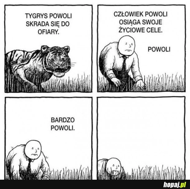 
    Bardzo powoli
