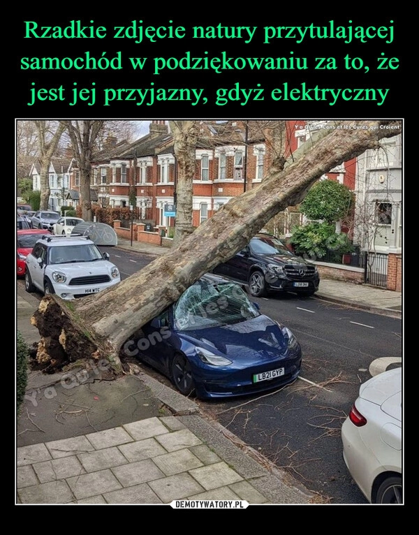 
    Rzadkie zdjęcie natury przytulającej samochód w podziękowaniu za to, że jest jej przyjazny, gdyż elektryczny