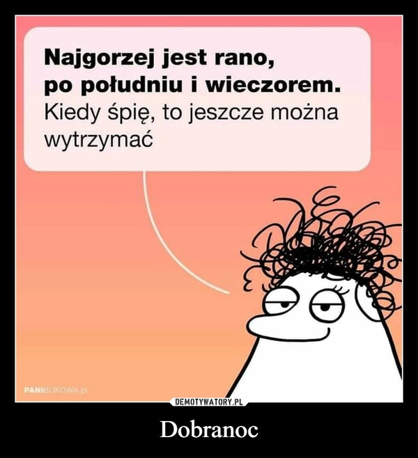 
    Dobranoc