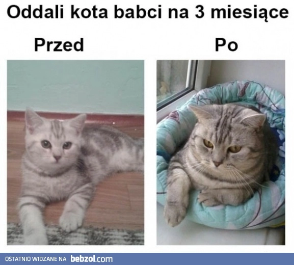 
    Przed i po