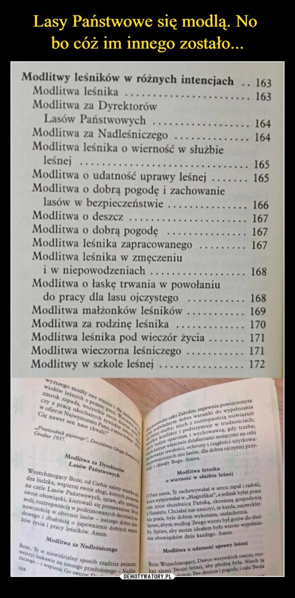 
    Lasy Państwowe się modlą. No 
bo cóż im innego zostało...