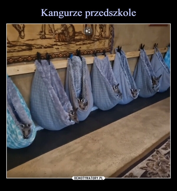 
    Kangurze przedszkole