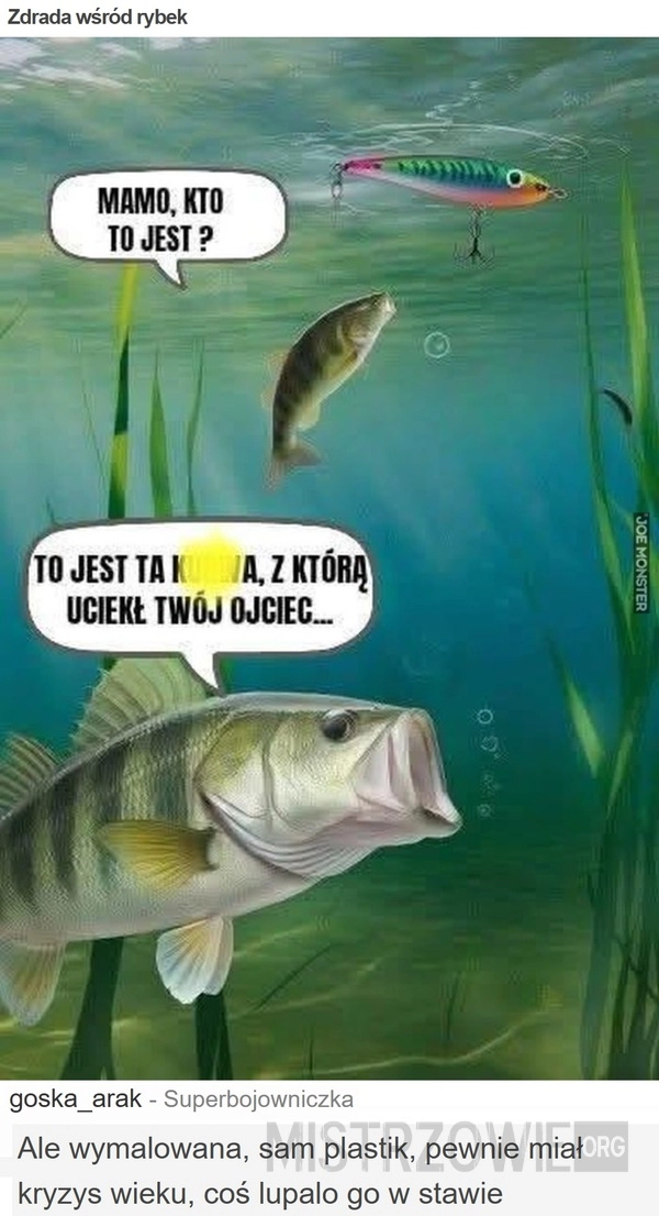 
    Zdrada wśród rybek