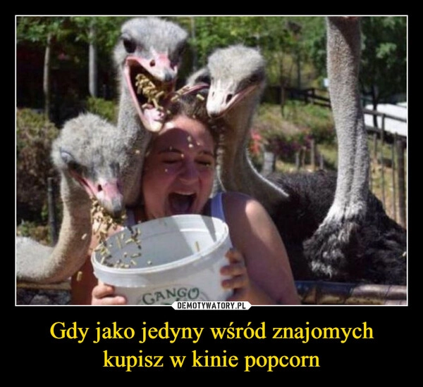 
    Gdy jako jedyny wśród znajomych kupisz w kinie popcorn