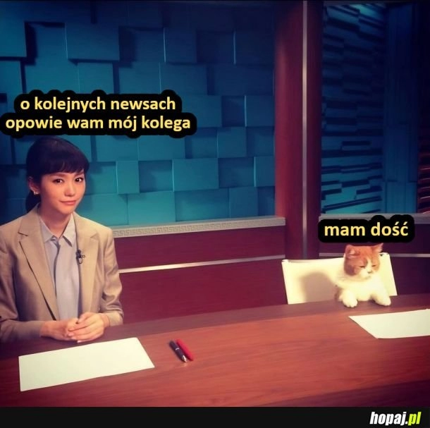 
    Mam dość