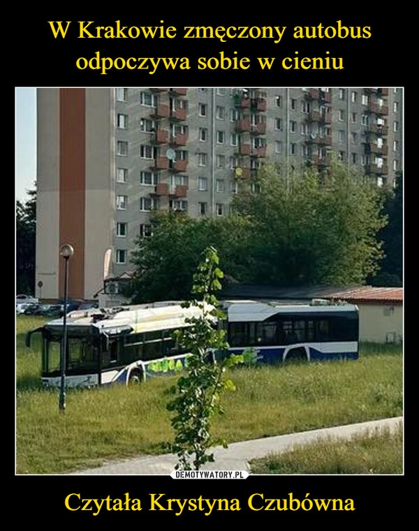 
    W Krakowie zmęczony autobus odpoczywa sobie w cieniu Czytała Krystyna Czubówna