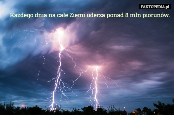 
    Każdego dnia na całe Ziemi uderza ponad 8 mln piorunów.