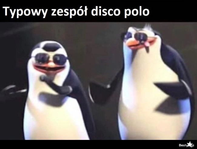 
    Zespół disco polo 