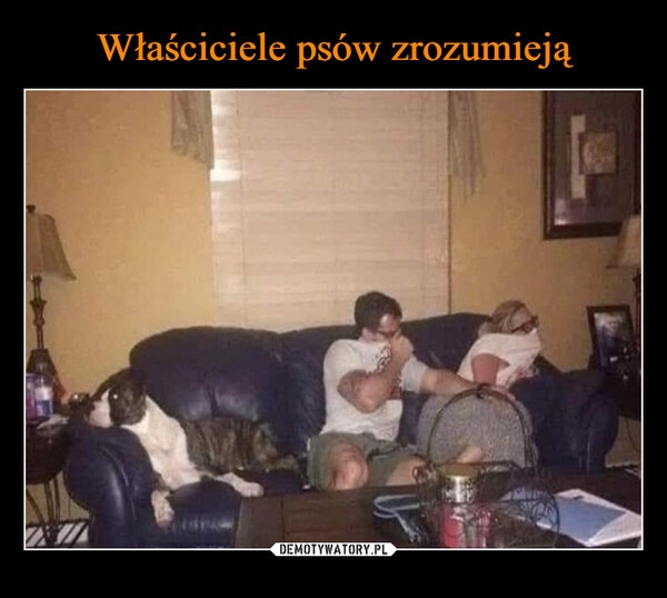 
    Właściciele psów zrozumieją