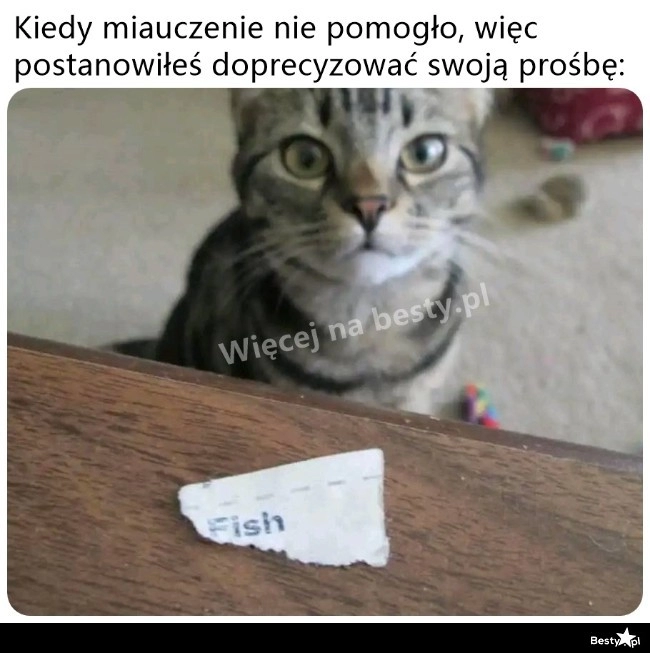 
    Może teraz 