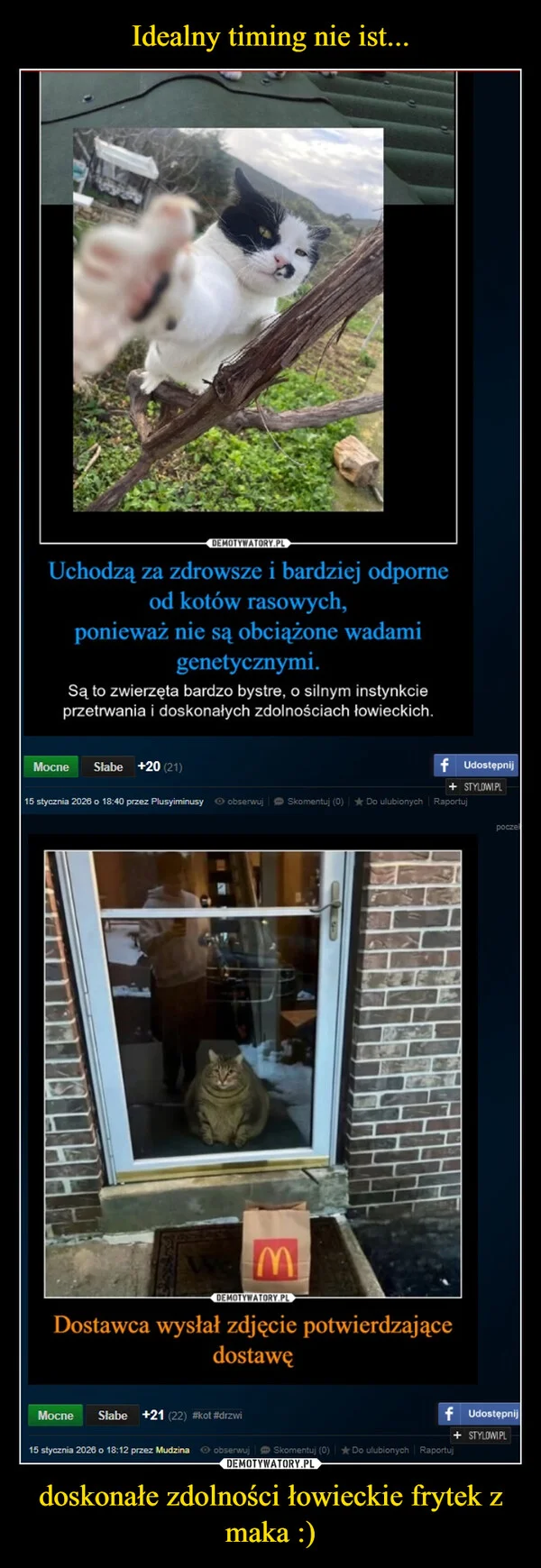 
    Idealny timing nie ist... doskonałe zdolności łowieckie frytek z maka :)