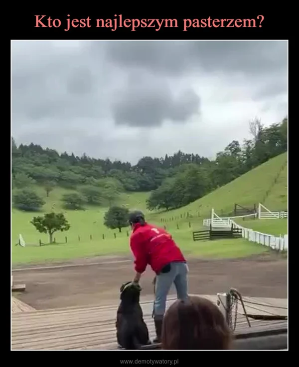 
    Kto jest najlepszym pasterzem?