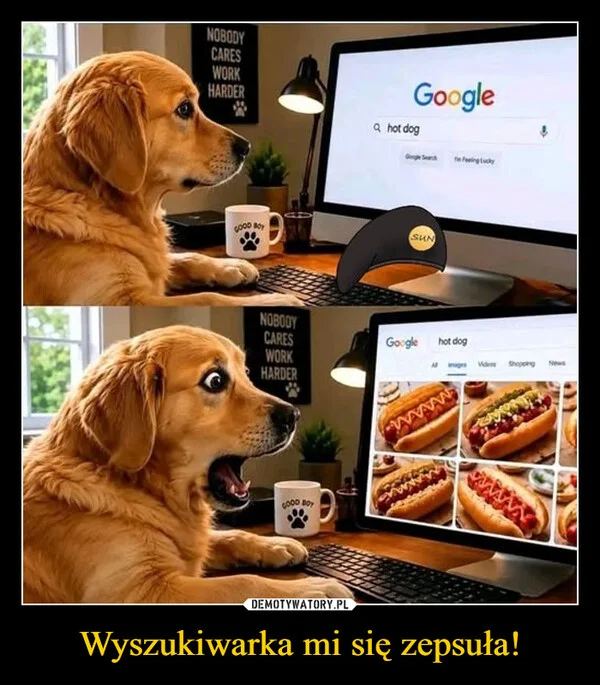 
    Wyszukiwarka mi się zepsuła!