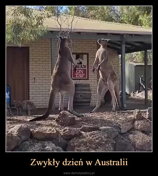 
    Zwykły dzień w Australii
