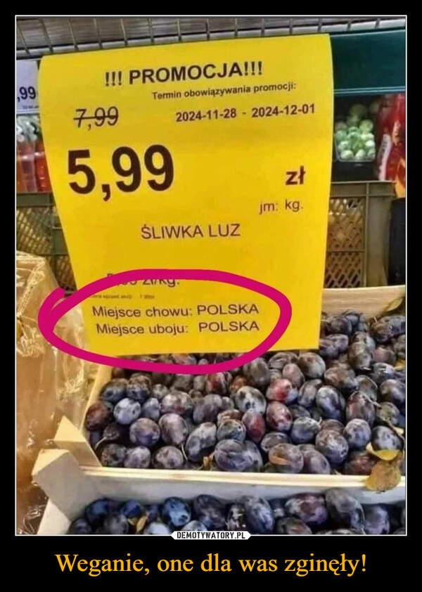 
    Weganie, one dla was zginęły!