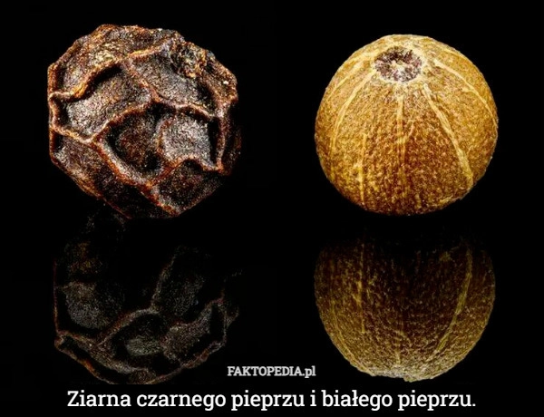 
    Ziarna czarnego pieprzu i białego pieprzu.