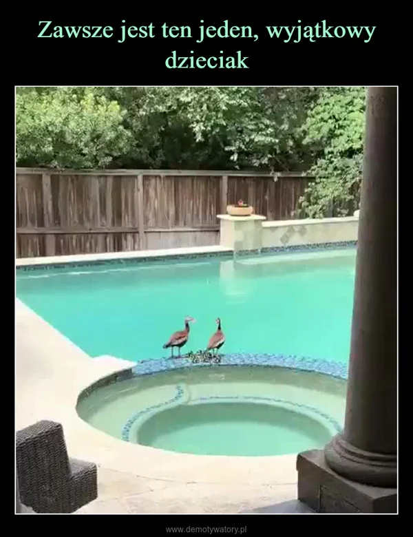 
    Zawsze jest ten jeden, wyjątkowy dzieciak