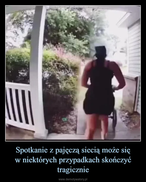 
    Spotkanie z pajęczą siecią może się w niektórych przypadkach skończyć tragicznie