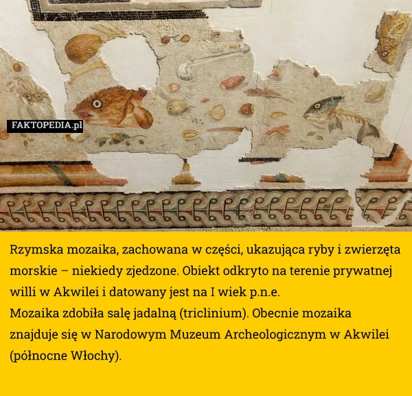 
    Rzymska mozaika, zachowana w części, ukazująca ryby i zwierzęta morskie