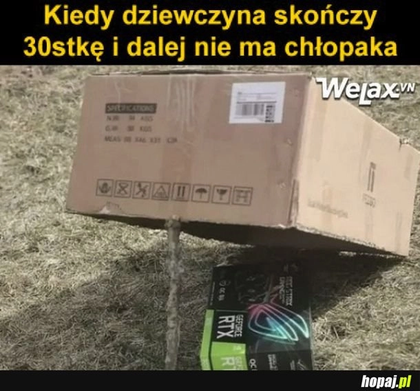 
    Pułapka na chłopa
