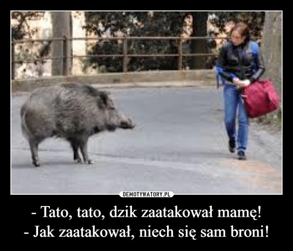 
    - Tato, tato, dzik zaatakował mamę!
- Jak zaatakował, niech się sam broni!