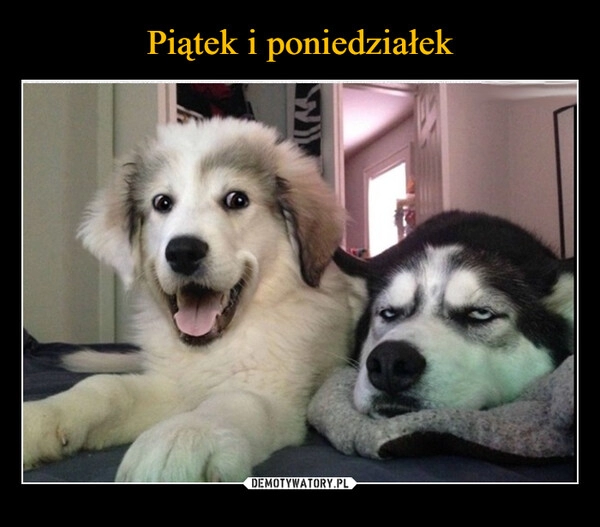 
    Piątek i poniedziałek