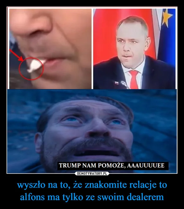 
    wyszło na to, że znakomite relacje to alfons ma tylko ze swoim dealerem