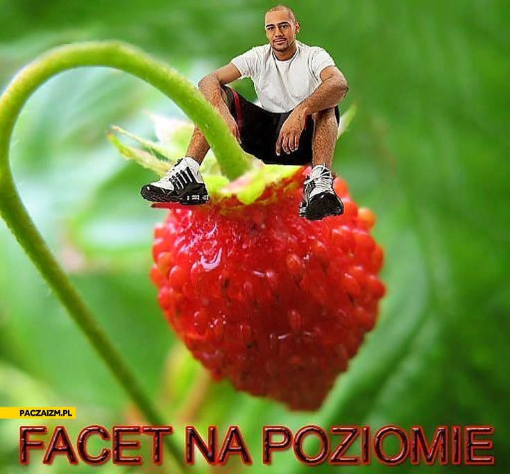 
    Facet na poziomie